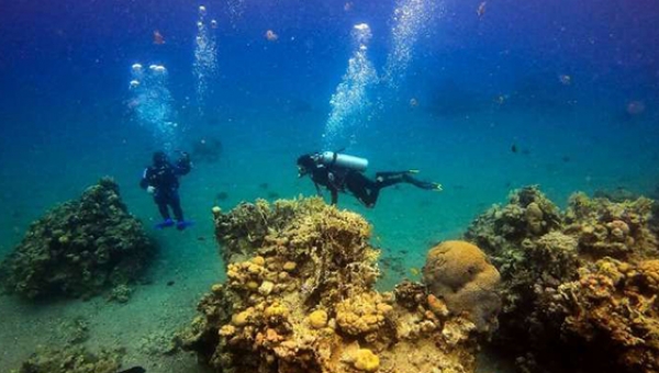 Коралловые рифы Красного моря находятся под угрозой из-за нефтяной сделки Израиля и ОАЭ